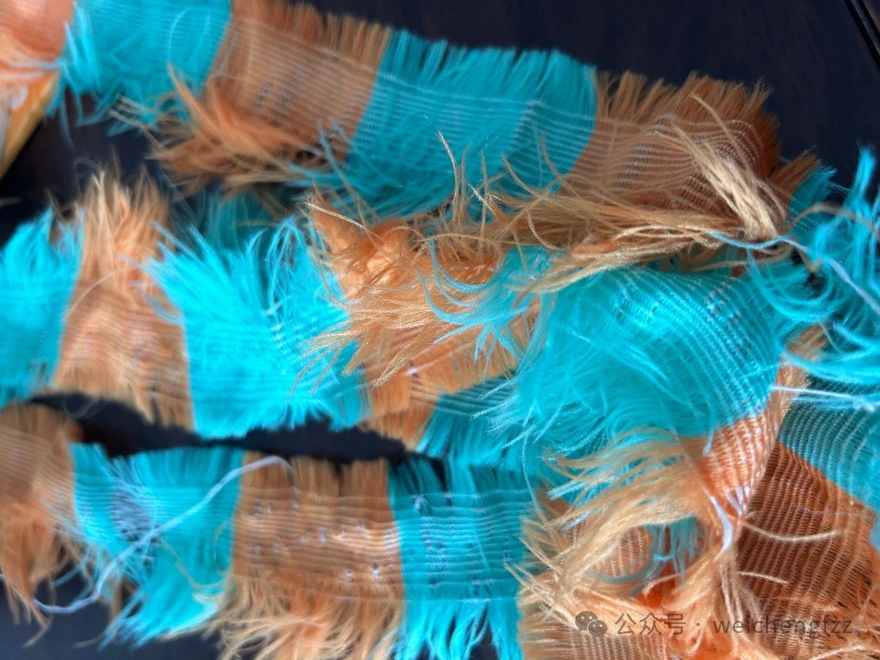 사진_20240418091901